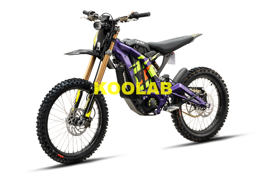 Light Bee X 2026 (4).png